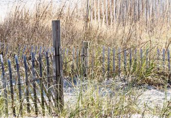 On the Beach - Free image #497799
